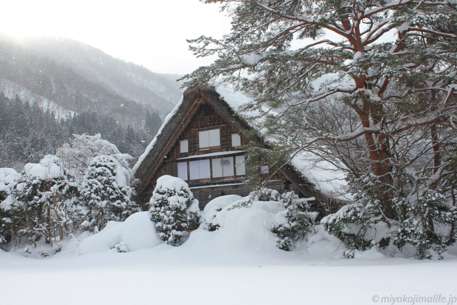 白川郷車中泊旅行記 雪をまとった合掌造りは日本の原風景 松本経由 株 宮古島ライフ